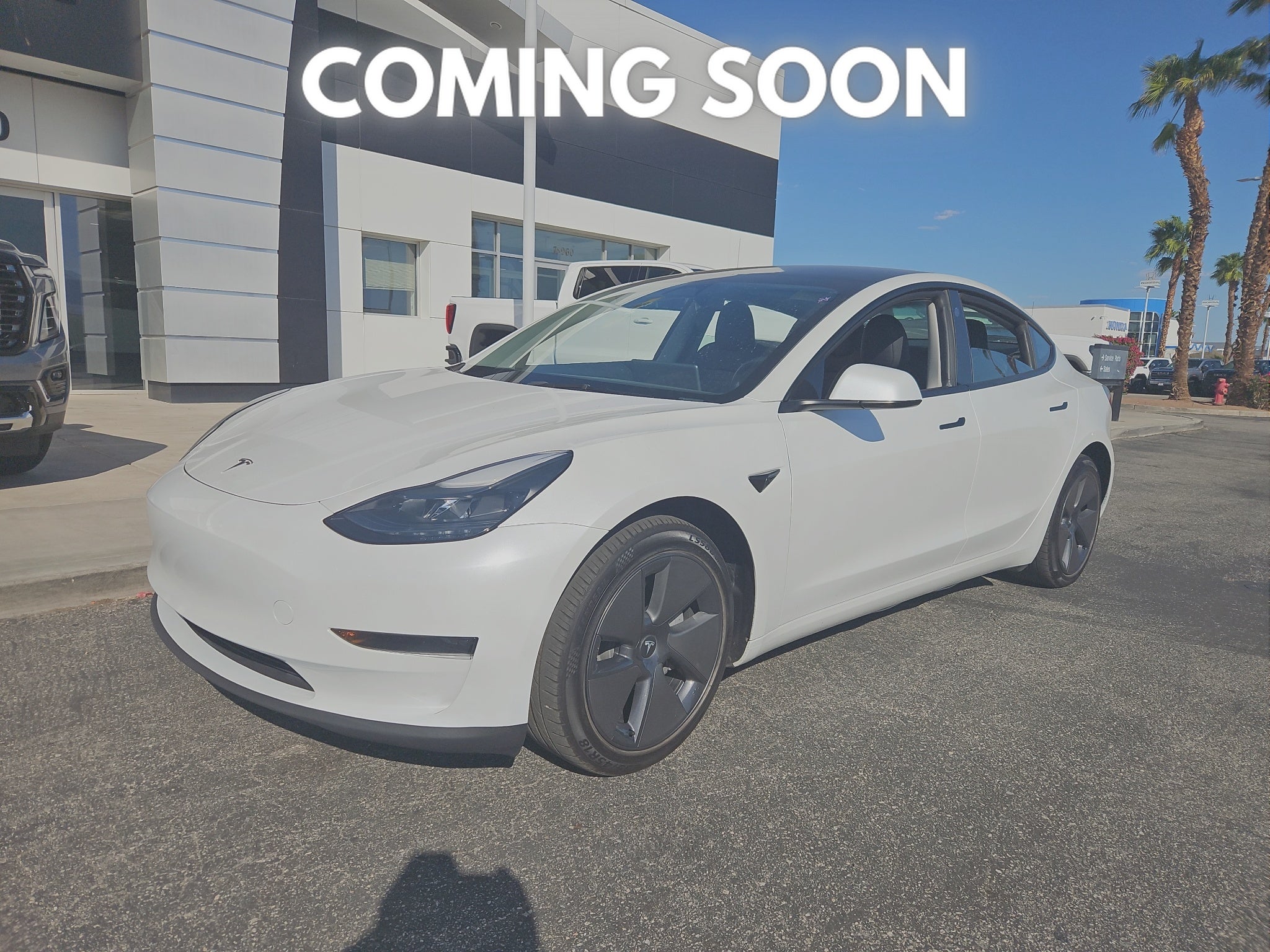 2023 Tesla Model 3 4DR RWD